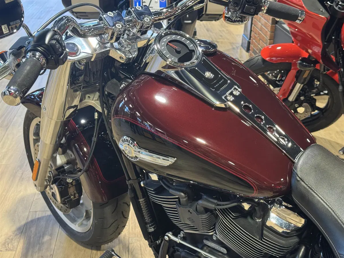 Harley-Davidson Fat Boy 114 (2021 - 24) (6)