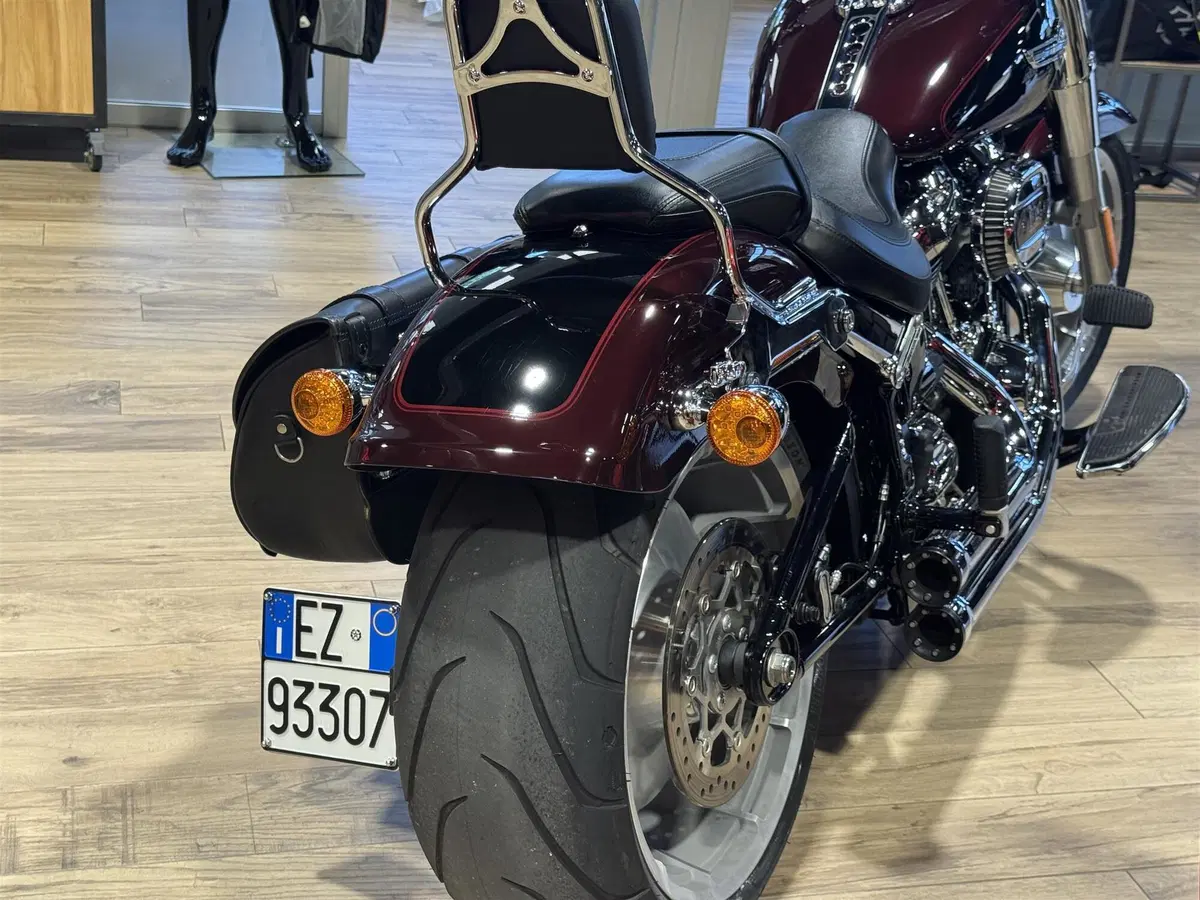 Harley-Davidson Fat Boy 114 (2021 - 24) (5)