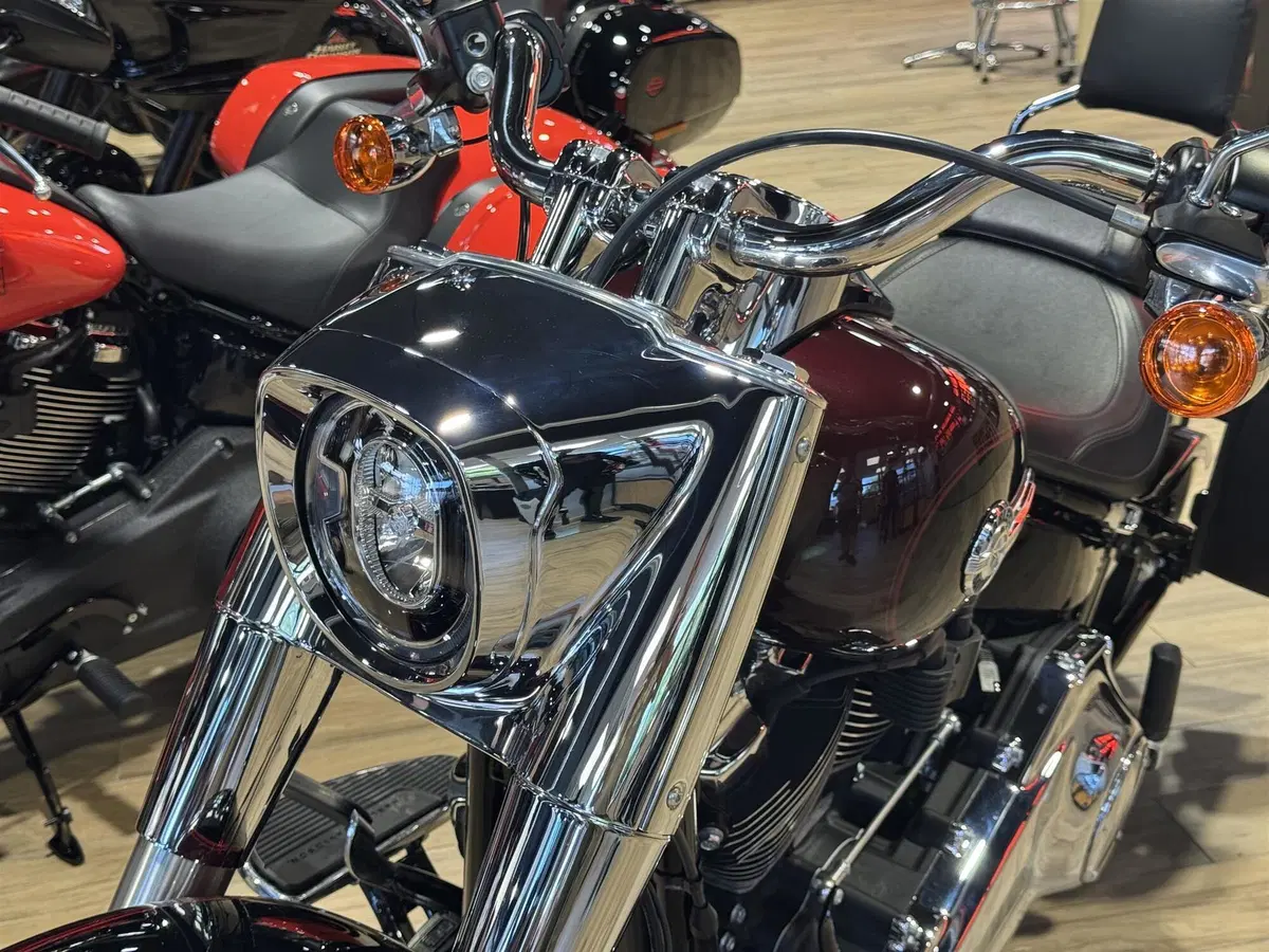 Harley-Davidson Fat Boy 114 (2021 - 24) (2)