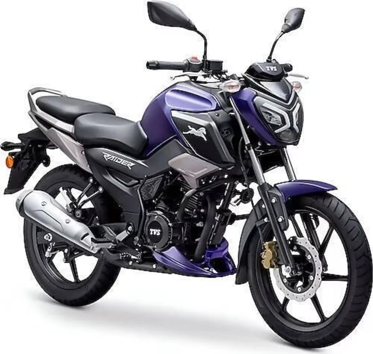 TVS Motor Raider 125 (2024 - 26)