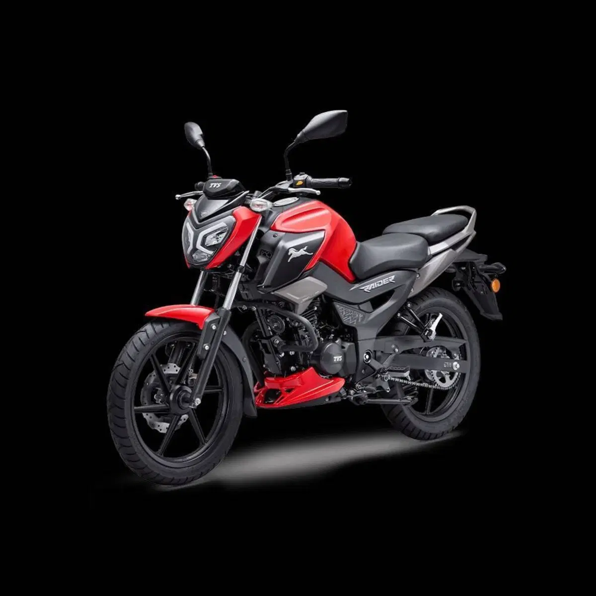 TVS Motor Raider 125 (2024 - 26) (3)