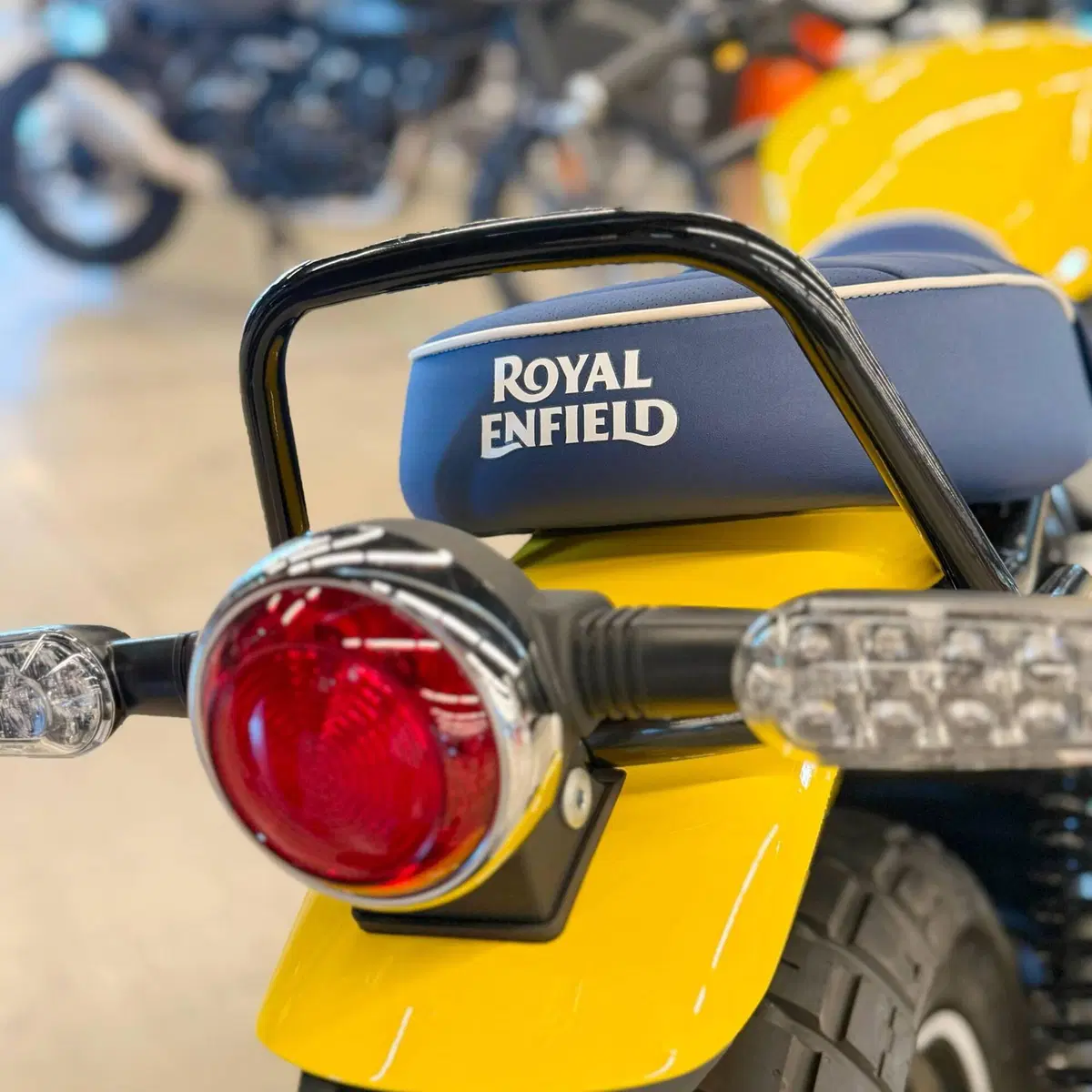 Royal Enfield Bear 650 (2025 - 26) (5)