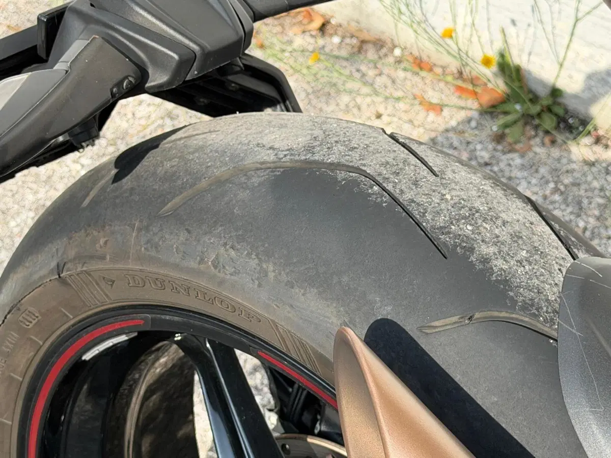 MV Agusta Brutale 800 EAS ABS (2016 - 19) (7)
