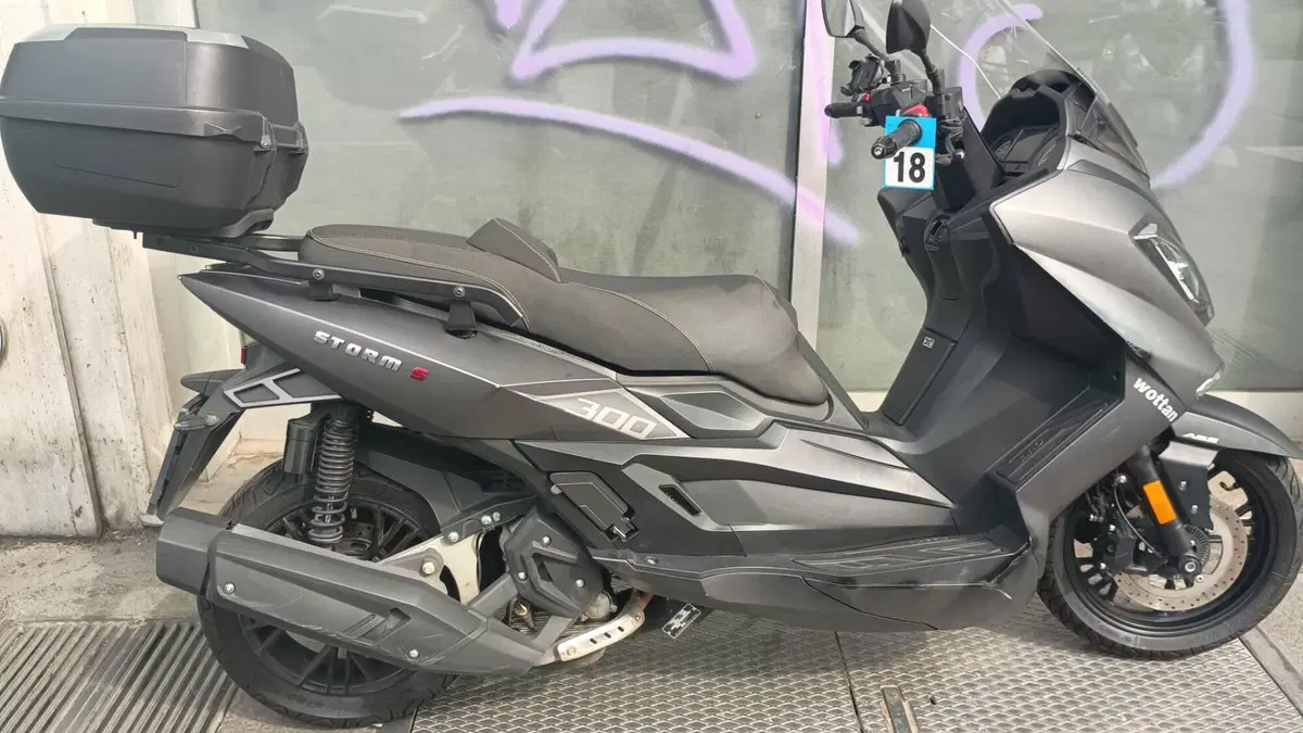 Wottan Motor Storm-S 300 (2020 - 25) (7)