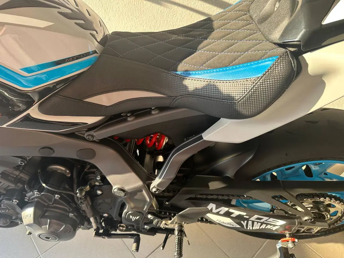 Yamaha MT-09 (2024 - 26) (4)