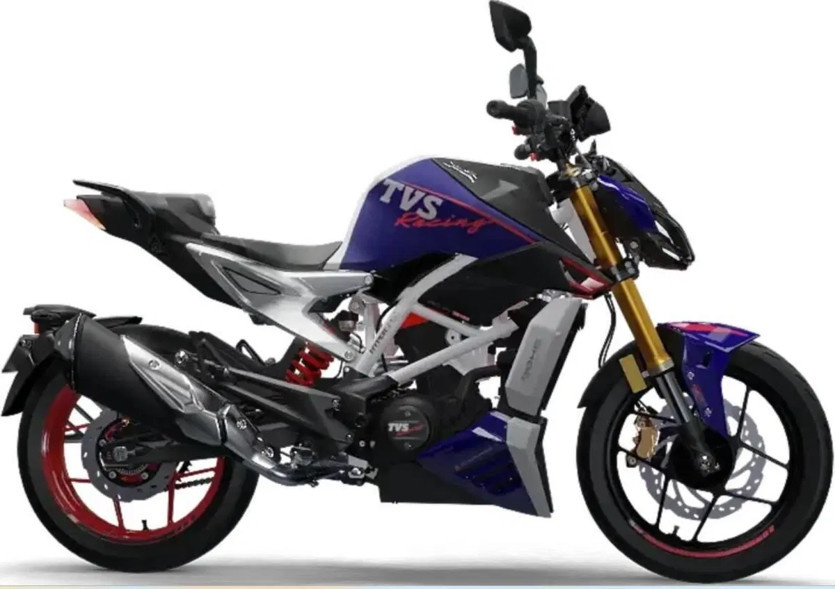 TVS Motor RTR 310 (2024 - 26) (2)