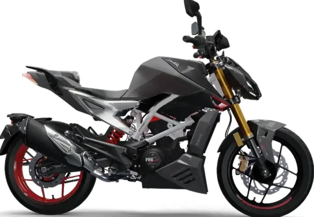 TVS Motor RTR 310 (2024 - 26) (4)