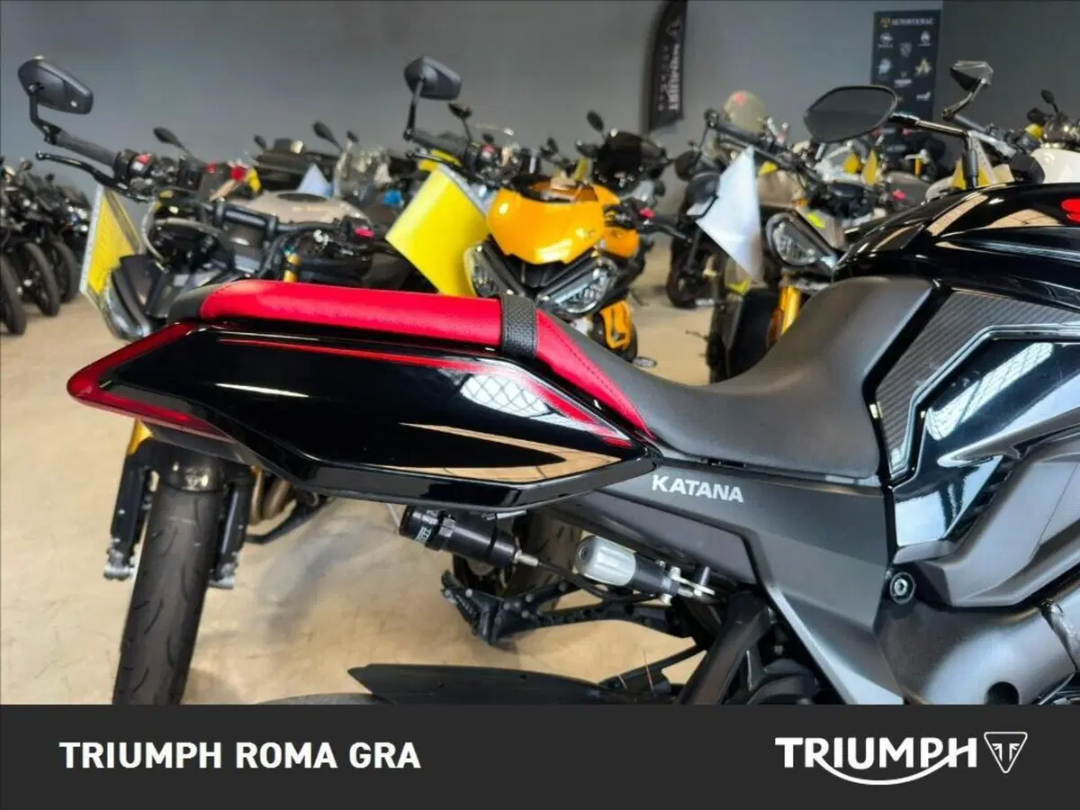 Suzuki Katana 1000 (2019 - 20) (14)