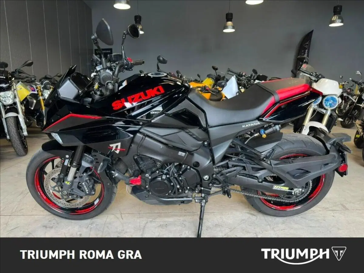 Suzuki Katana 1000 (2019 - 20) (3)