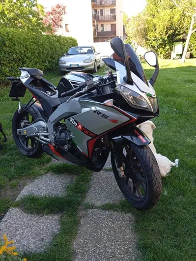 Aprilia RS 125 (2006 - 14) usata