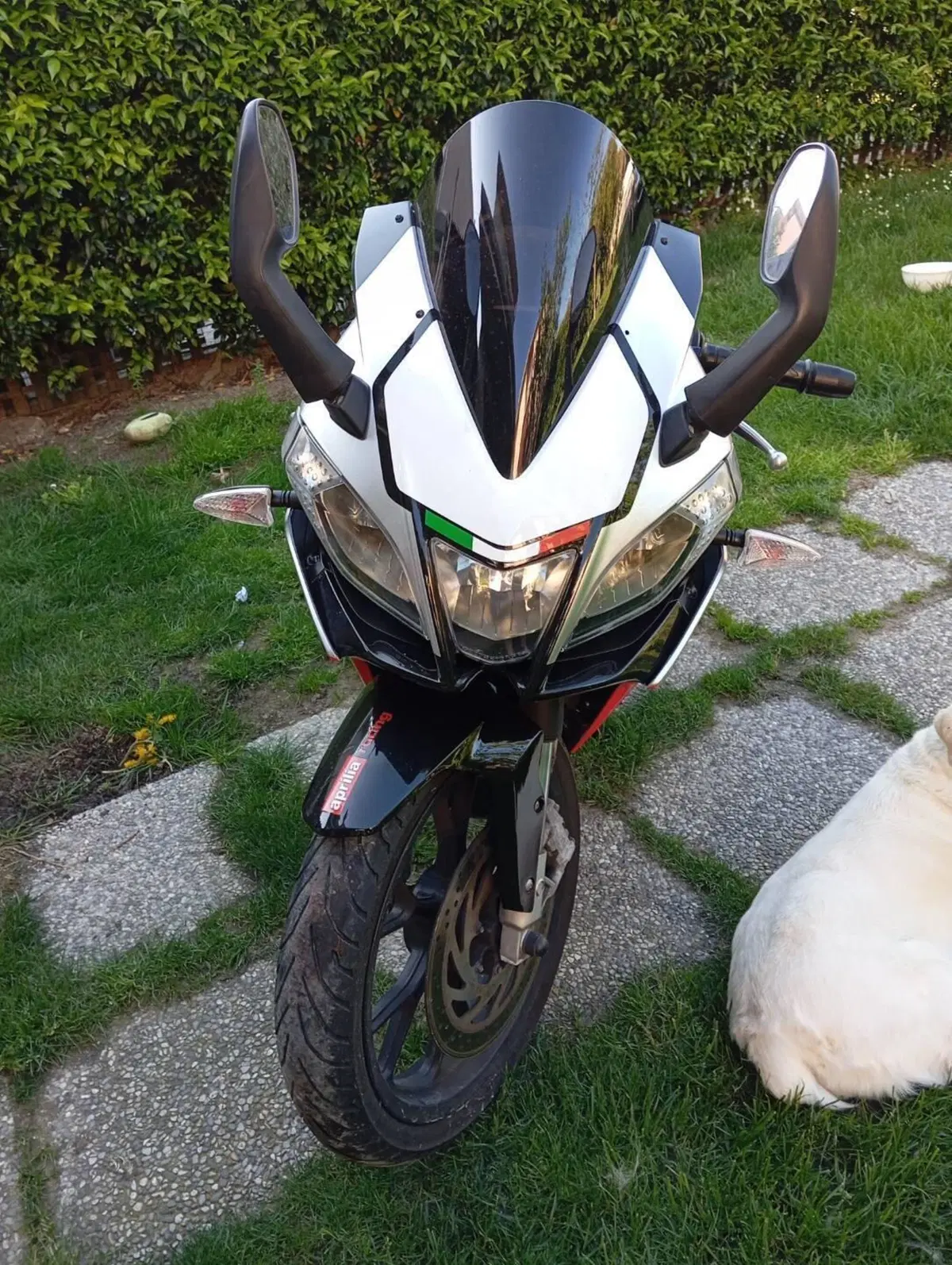 Aprilia RS 125 (2006 - 14) (3)