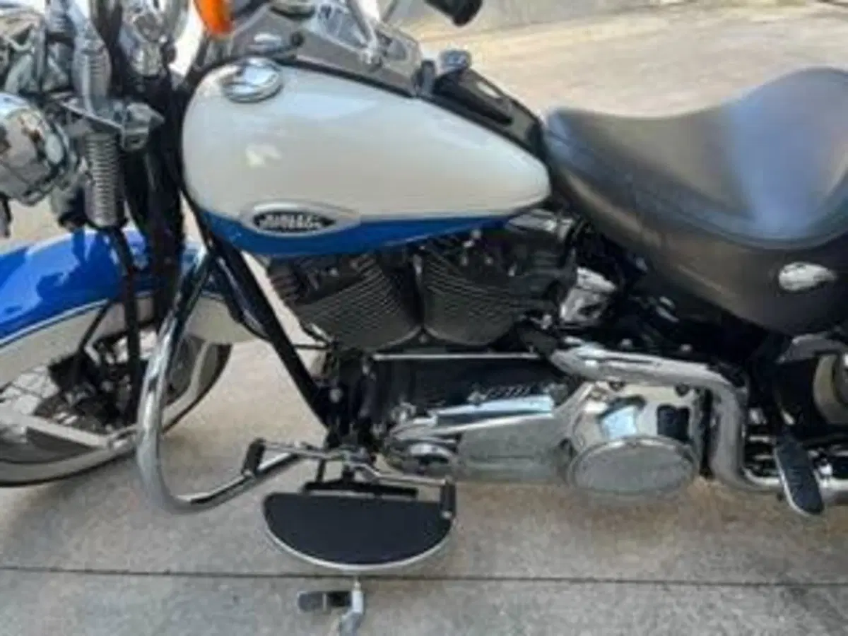 Harley-Davidson 1584 Springer Classic (2006 - 07) - FLSTSC (5)