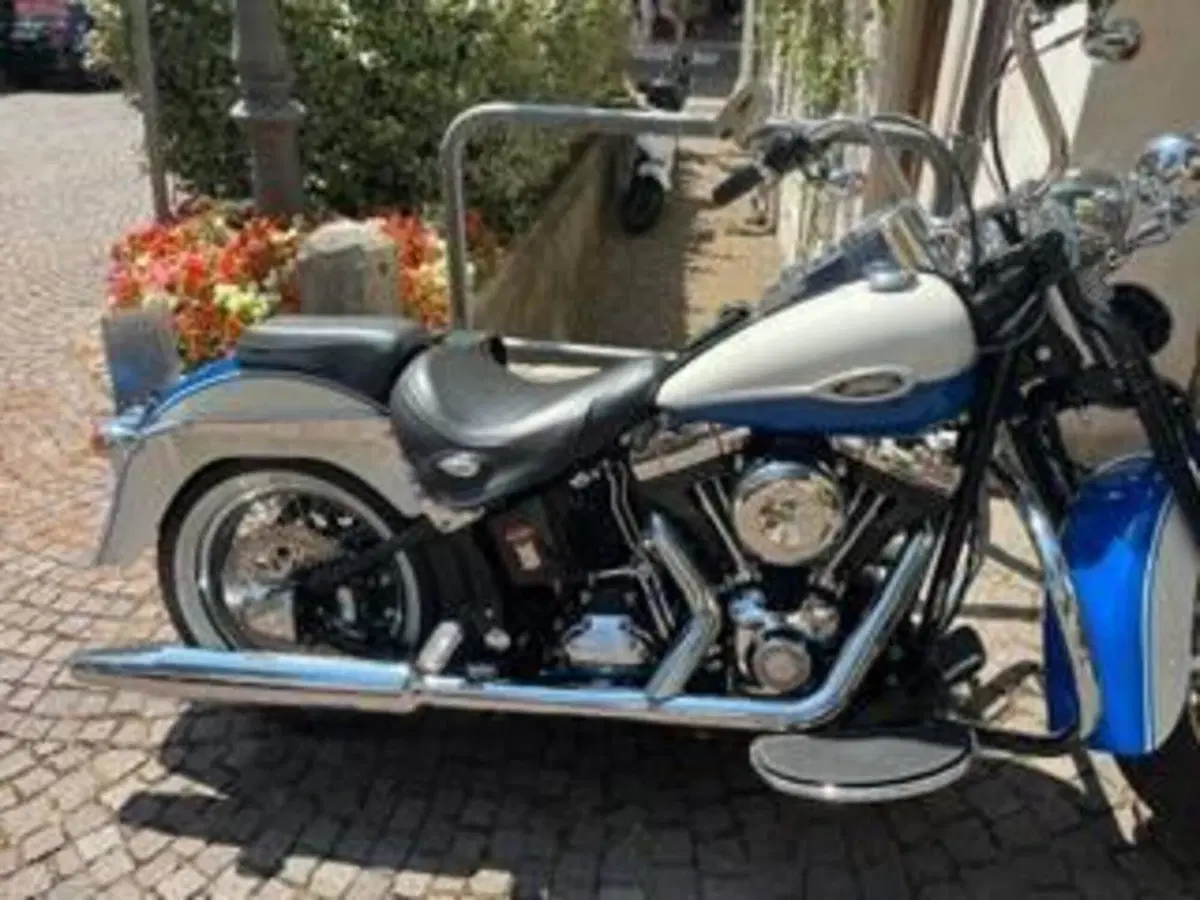 Harley-Davidson 1584 Springer Classic (2006 - 07) - FLSTSC (6)