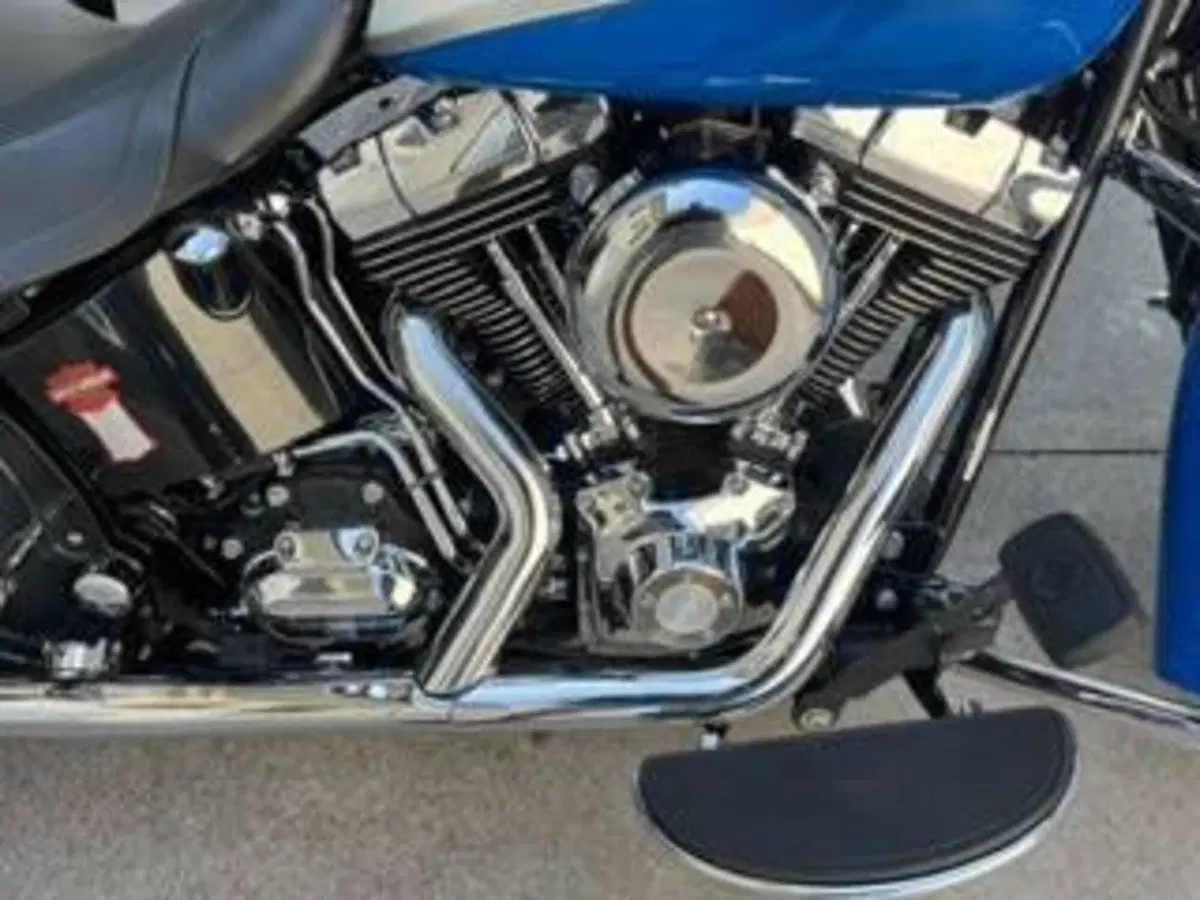Harley-Davidson 1584 Springer Classic (2006 - 07) - FLSTSC (8)