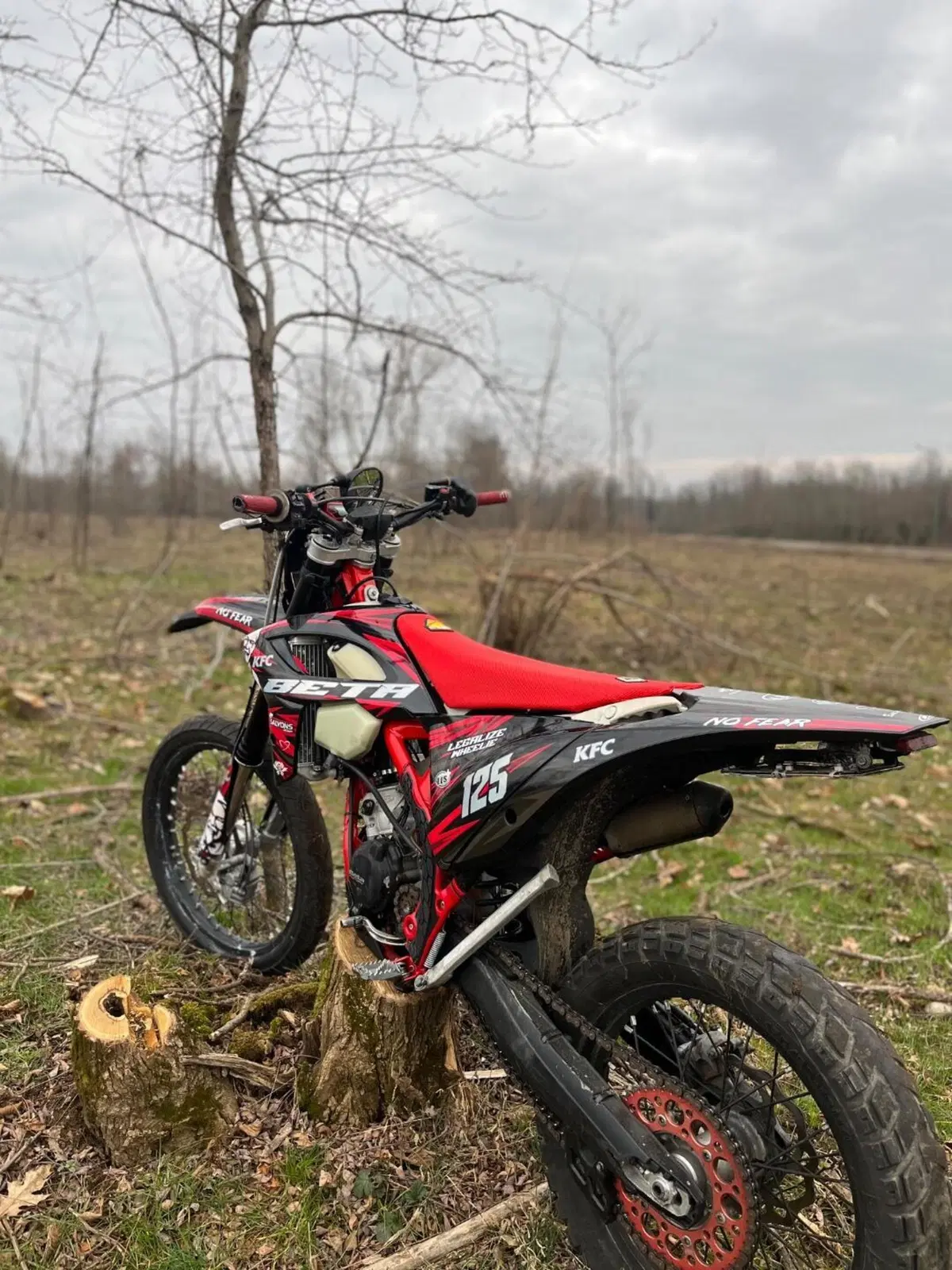 Betamotor RR 125 2T Enduro (2019) (2)