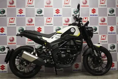 Benelli Leoncino 250 (2021 - 25) usata
