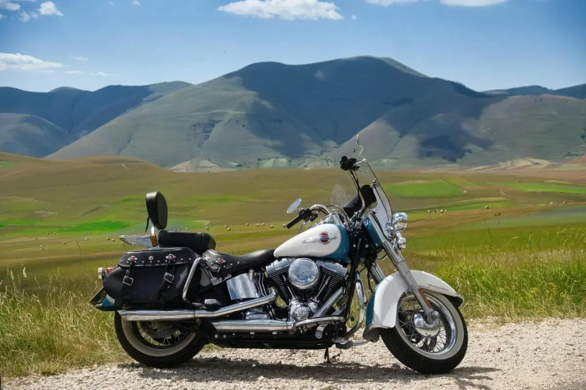 Harley-Davidson 1690 Heritage Classic (2011 - 17) - FLSTC (2)