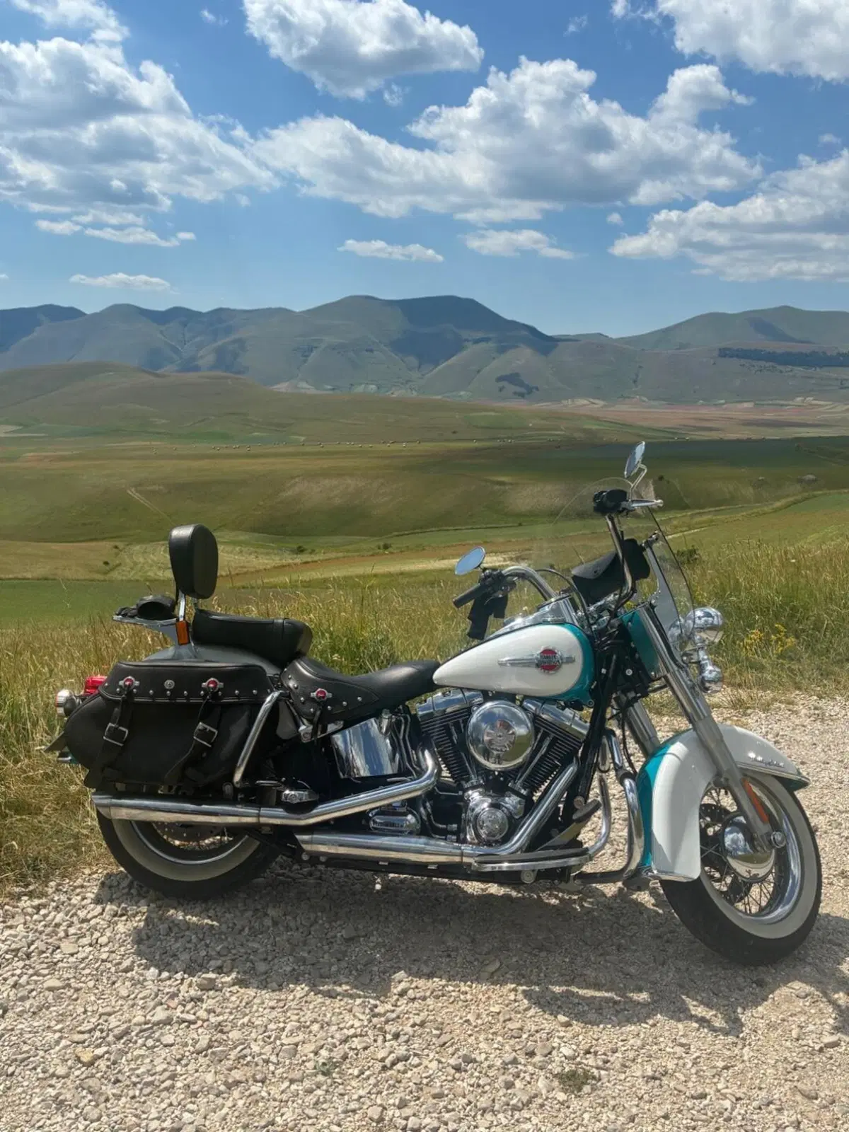 Harley-Davidson 1690 Heritage Classic (2011 - 17) - FLSTC (6)