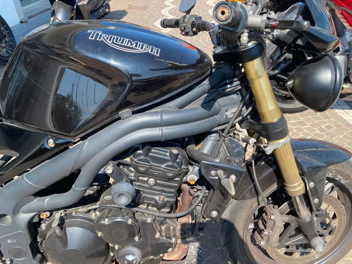 Triumph Speed Triple 1050 (2005 - 11) (5)