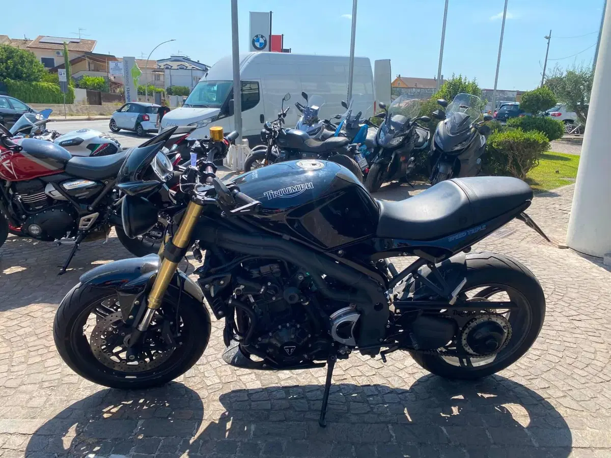 Triumph Speed Triple 1050 (2005 - 11) (2)