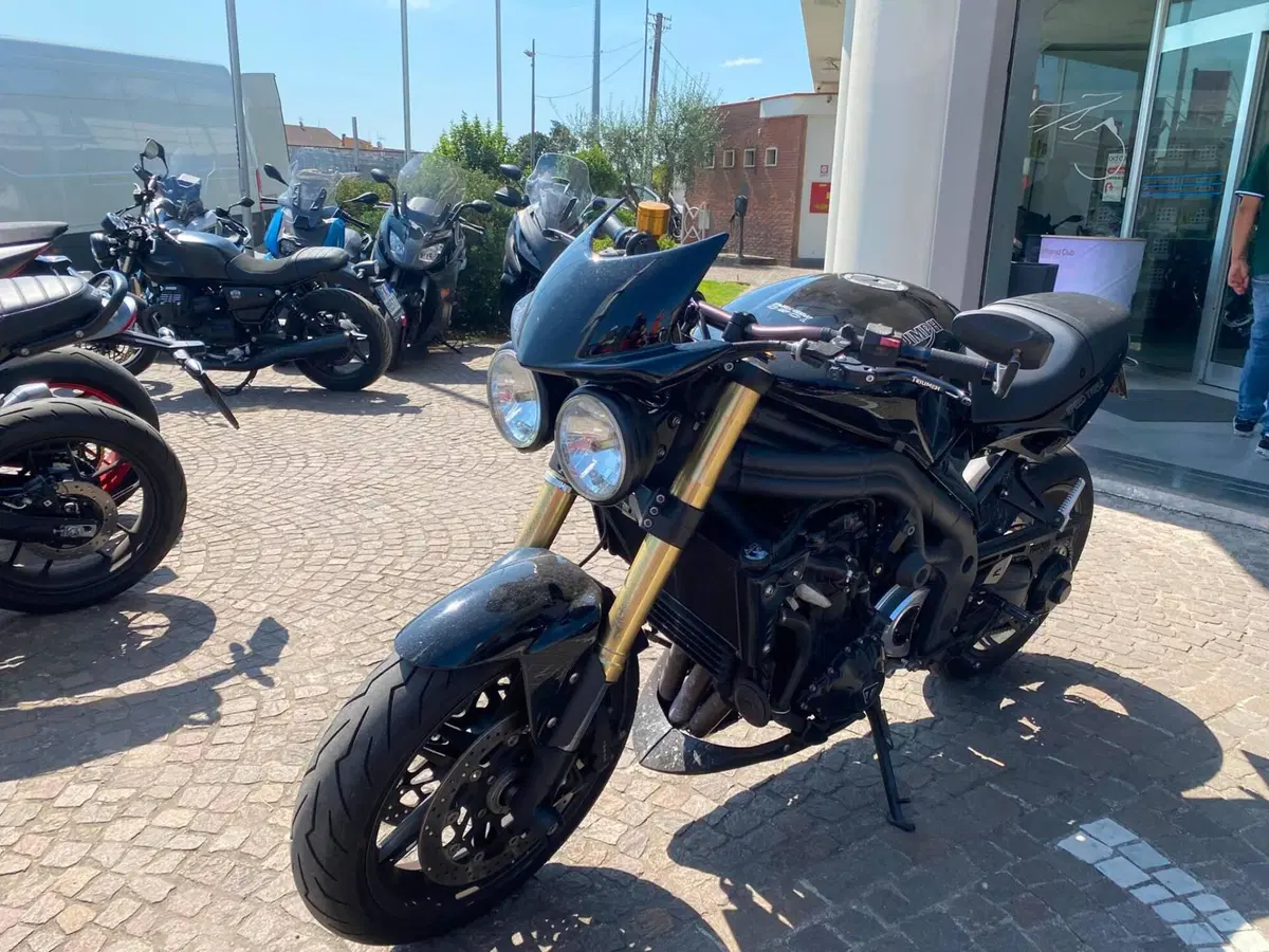 Triumph Speed Triple 1050 (2005 - 11) (4)