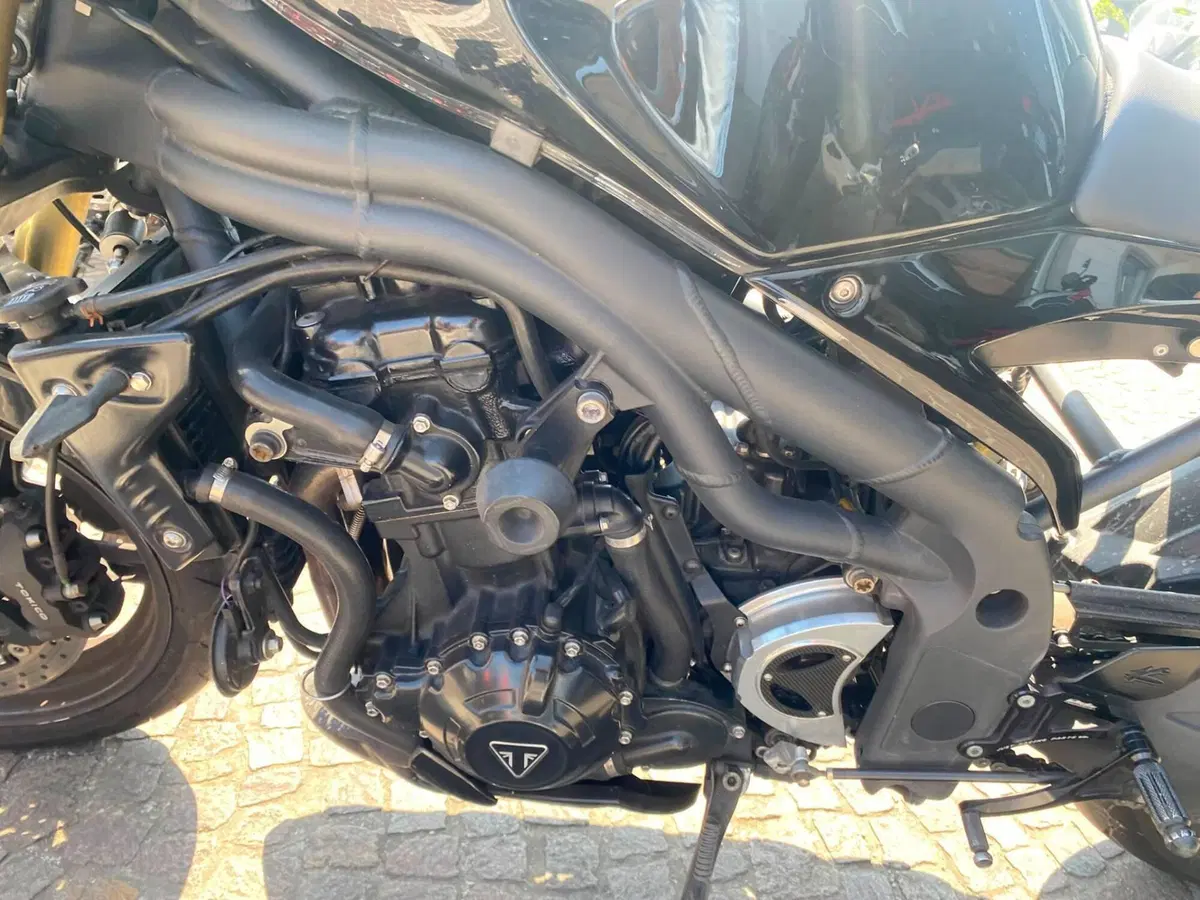 Triumph Speed Triple 1050 (2005 - 11) (6)