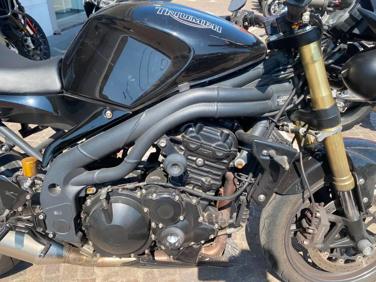 Triumph Speed Triple 1050 (2005 - 11) (7)