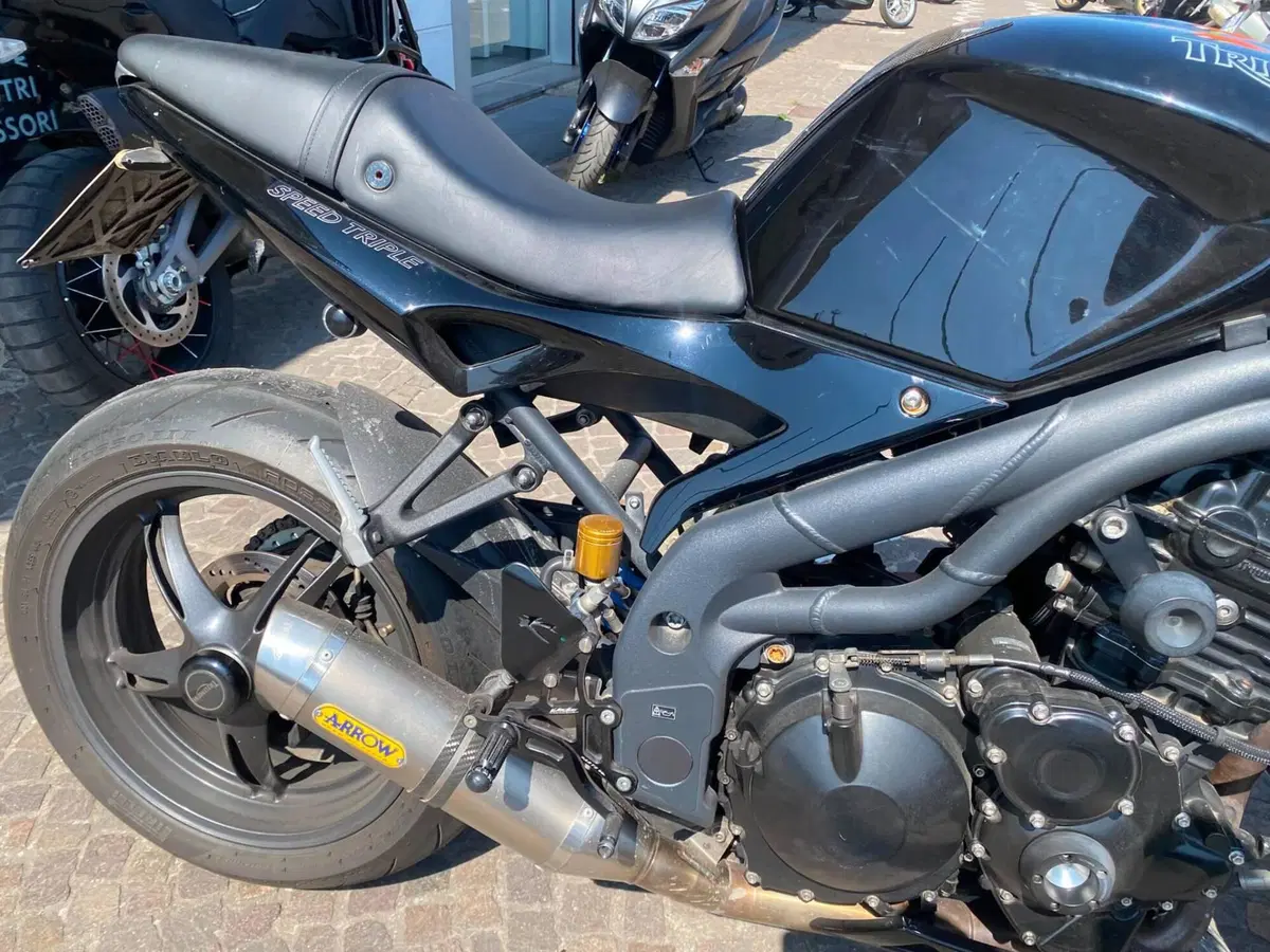 Triumph Speed Triple 1050 (2005 - 11) (8)