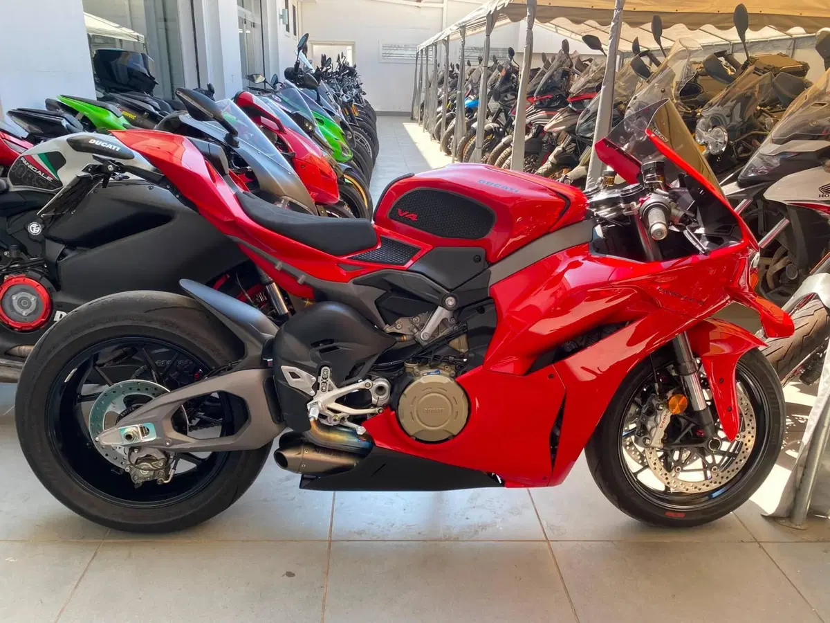 Ducati Panigale V4 (2025 - 26)