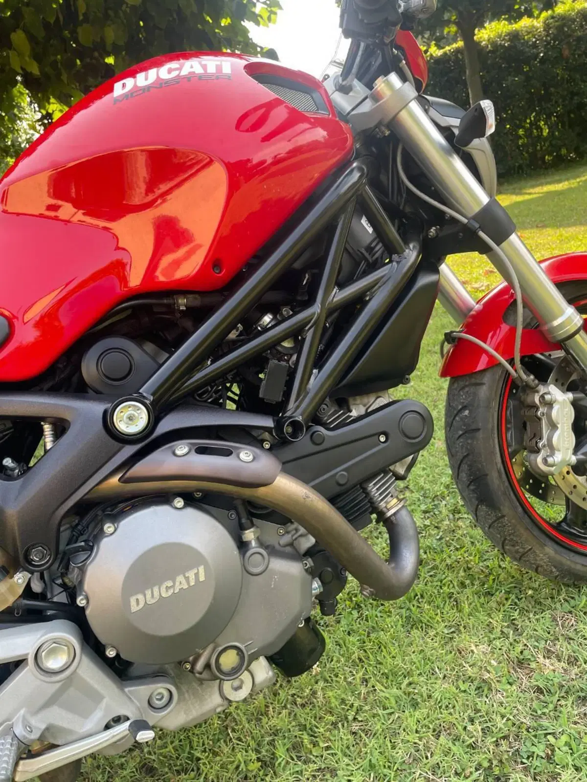 Ducati Monster 696 (2008 - 13) (6)