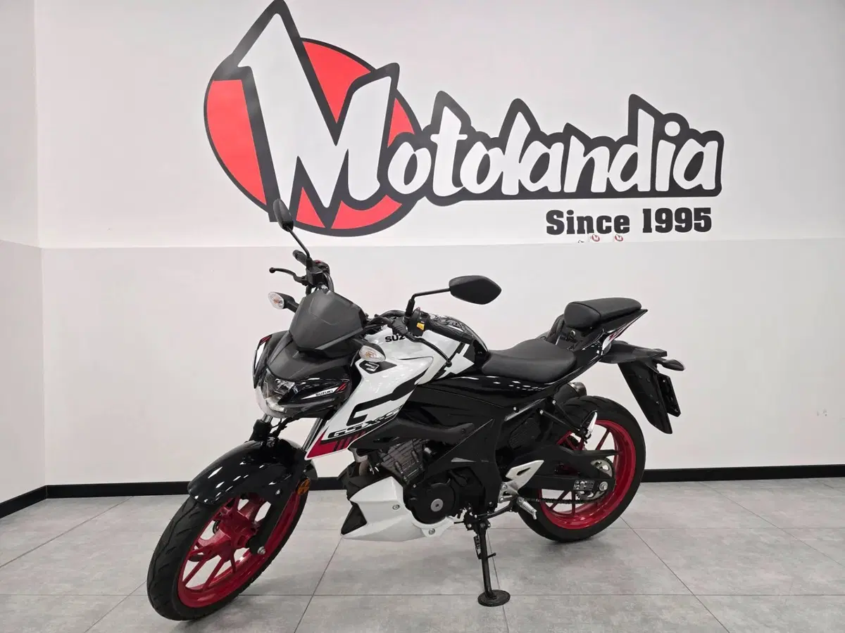 Suzuki GSX-S125 (2025 - 26) (2)