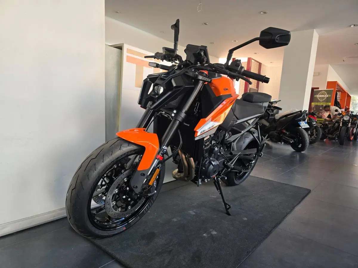 KTM 790 Duke (2027) (4)