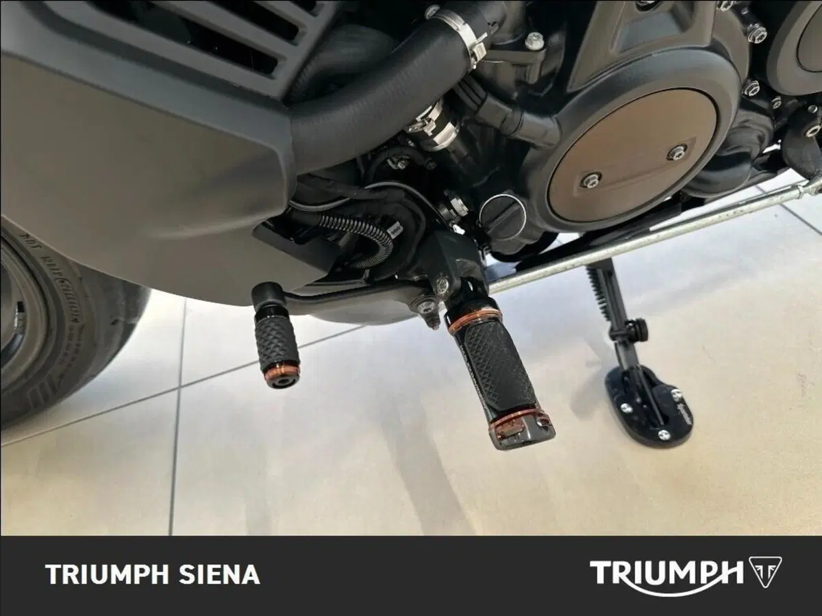 Harley-Davidson Sportster S (2022 - 24) (9)