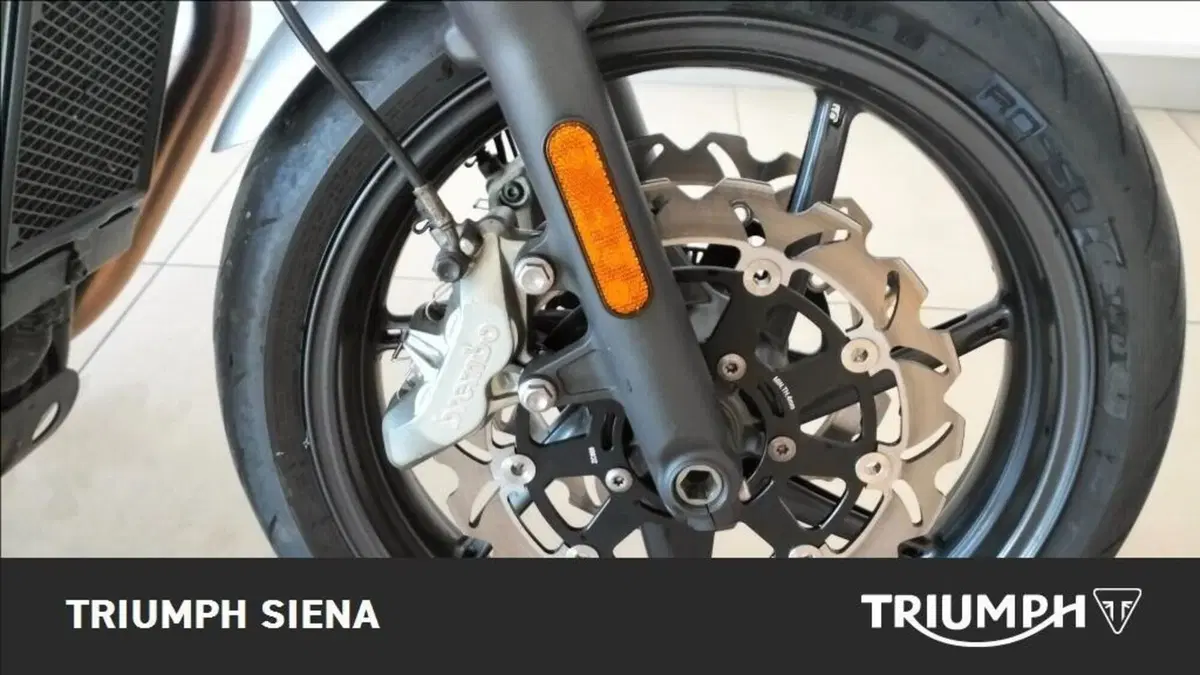 Triumph Speed Twin 1200 (2019 - 20) (2)