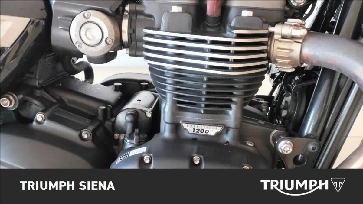 Triumph Speed Twin 1200 (2019 - 20) (3)