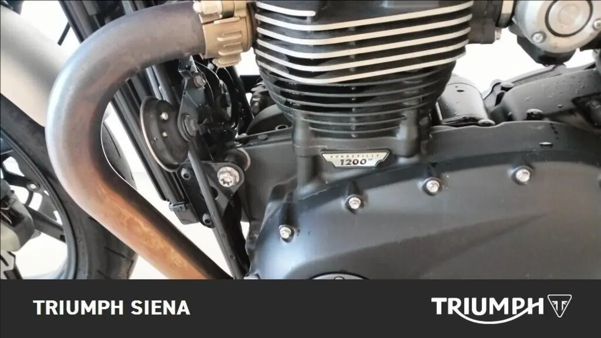 Triumph Speed Twin 1200 (2019 - 20) (7)