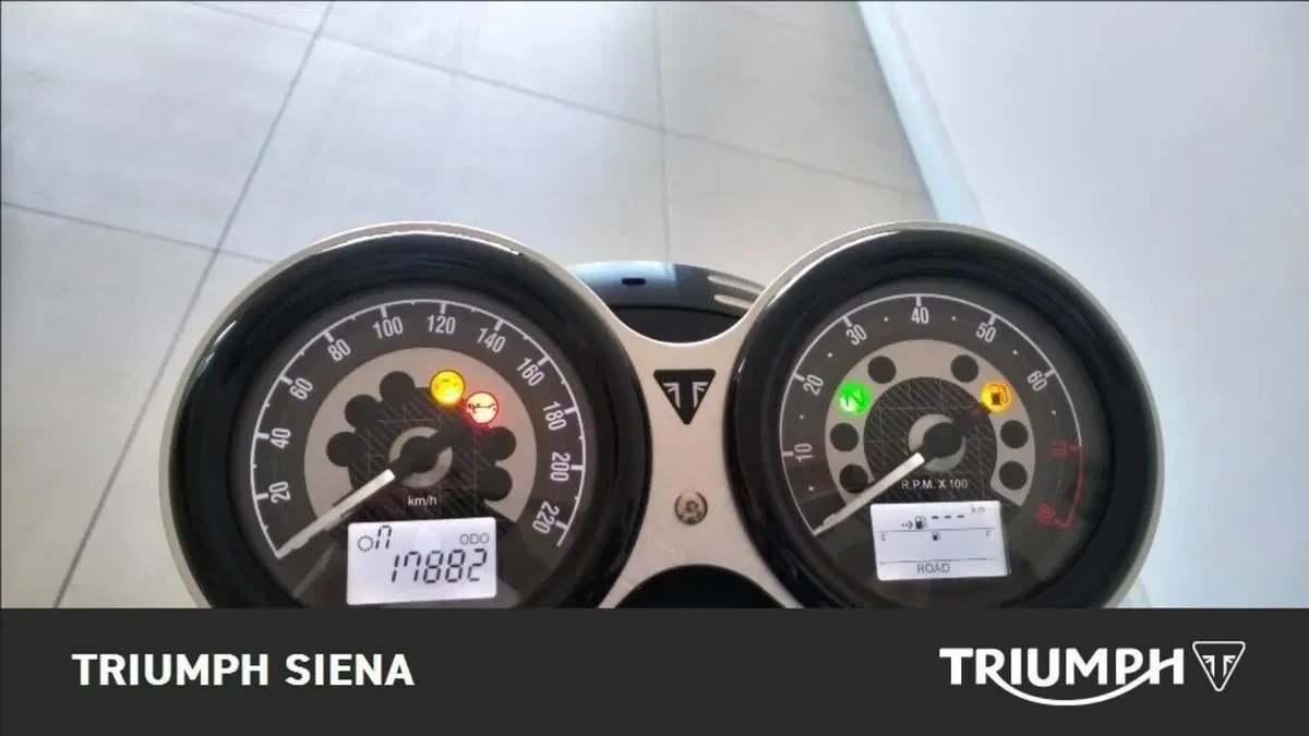 Triumph Speed Twin 1200 (2019 - 20) (9)