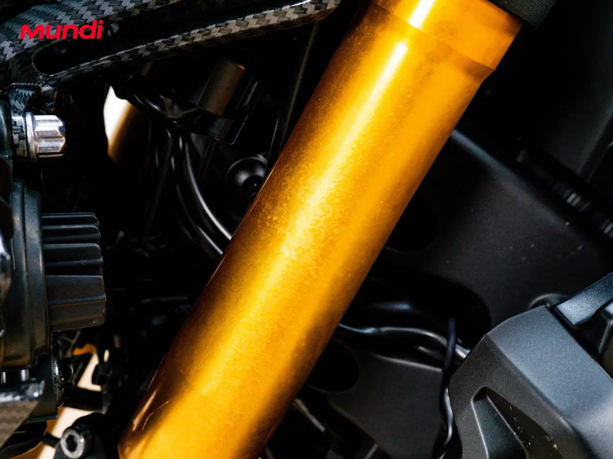 Yamaha MT-09 SP (2018 - 20) (13)