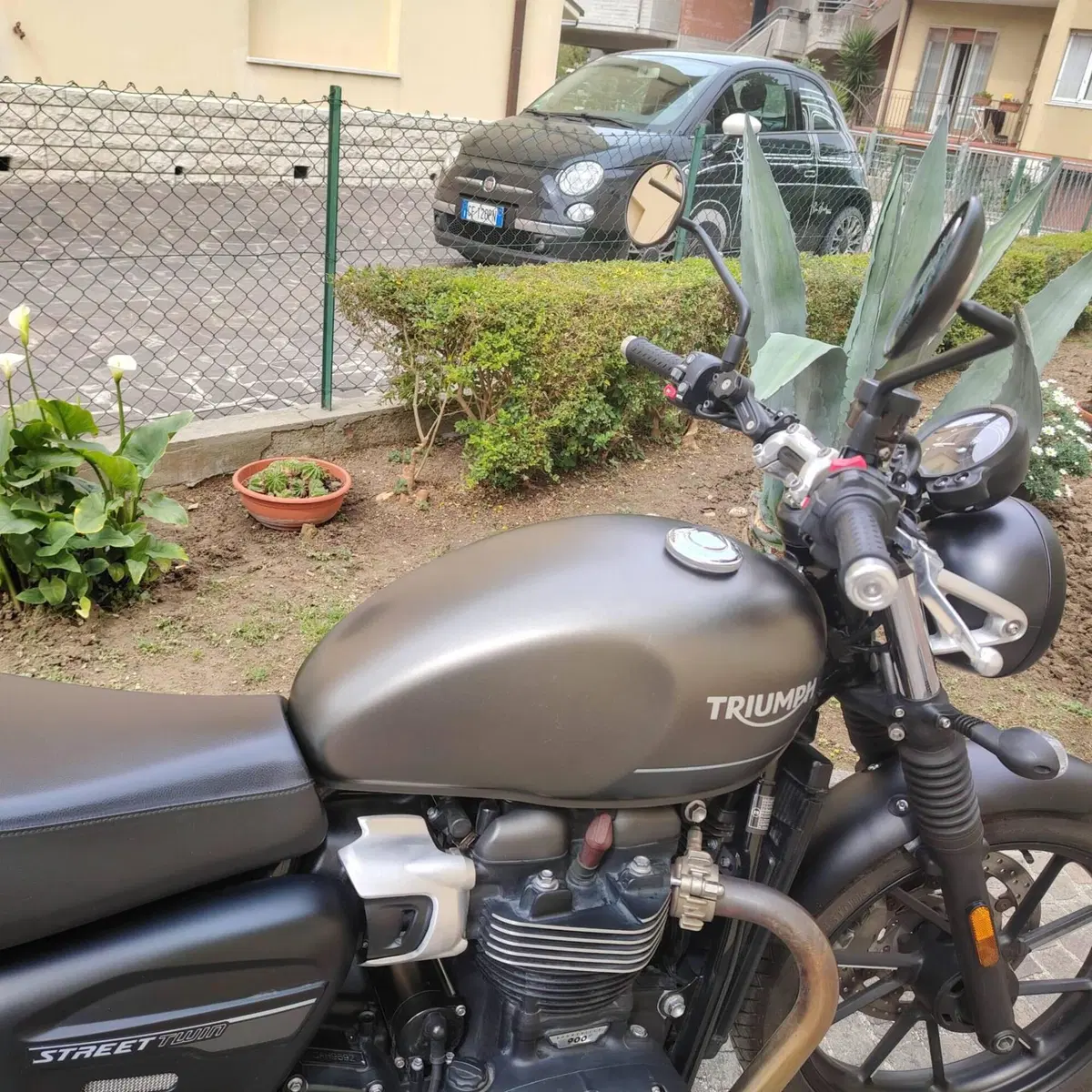 Triumph Speed Twin 900 (2023 - 24) (2)