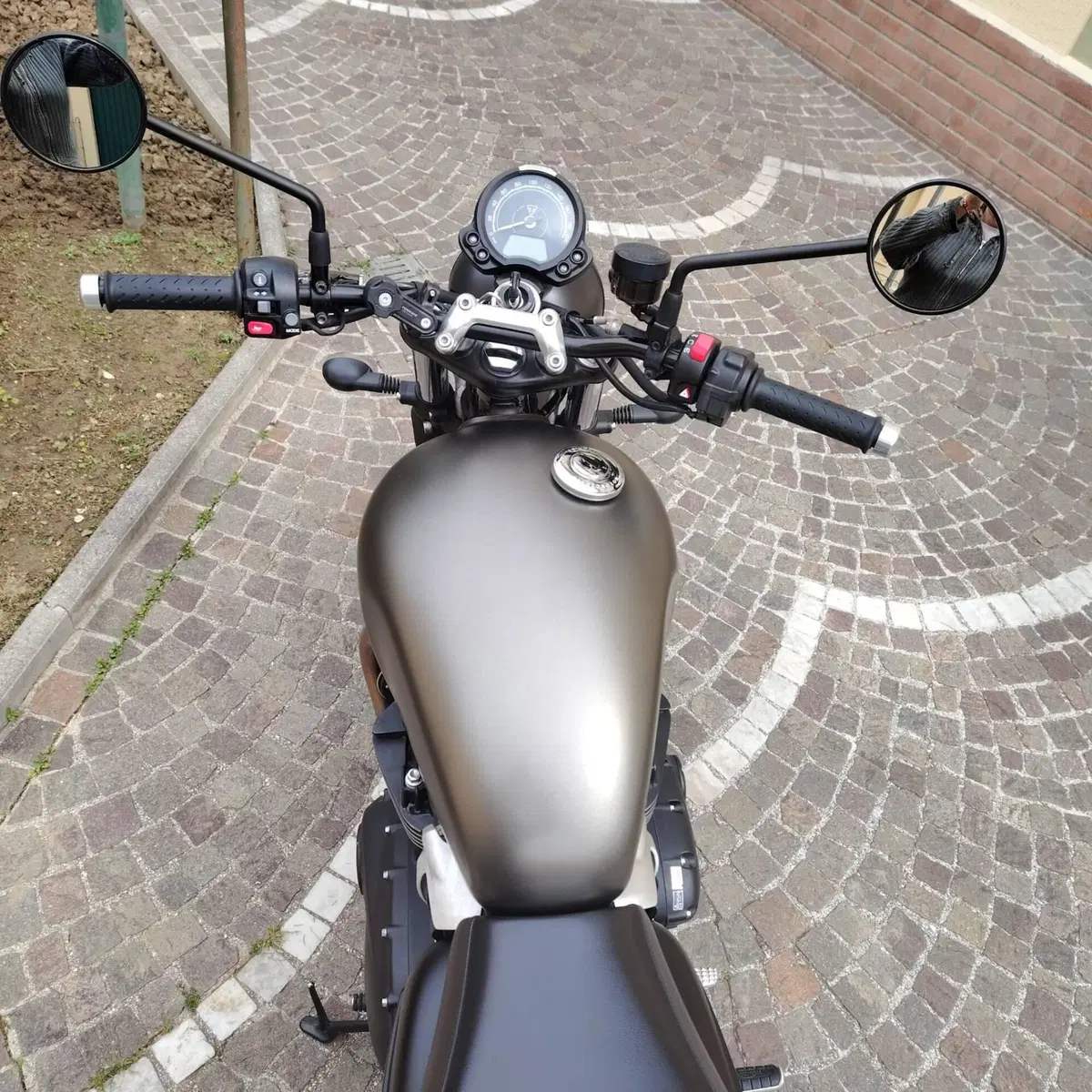 Triumph Speed Twin 900 (2023 - 24) (3)