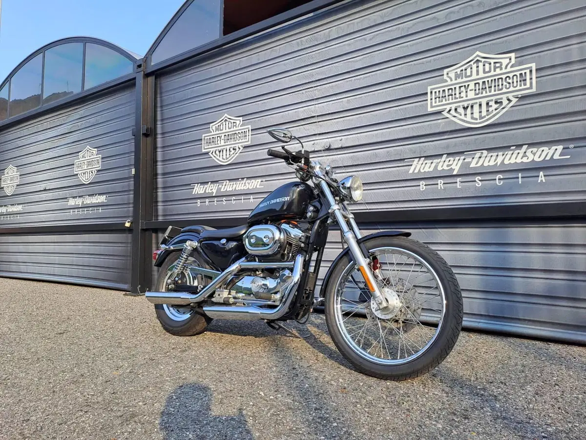 Harley-Davidson 1200 Custom (2001 - 03) - XL 1200C (2)