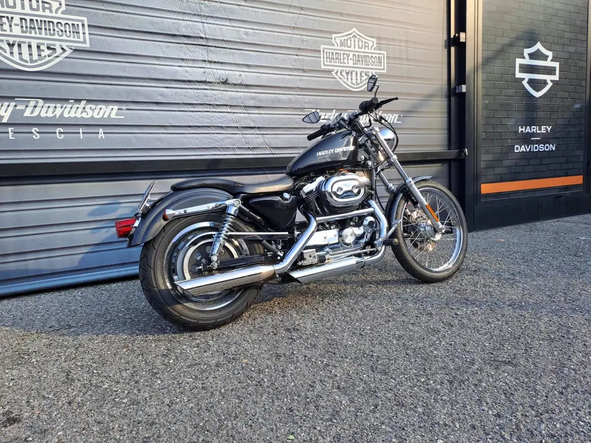 Harley-Davidson 1200 Custom (2001 - 03) - XL 1200C (3)