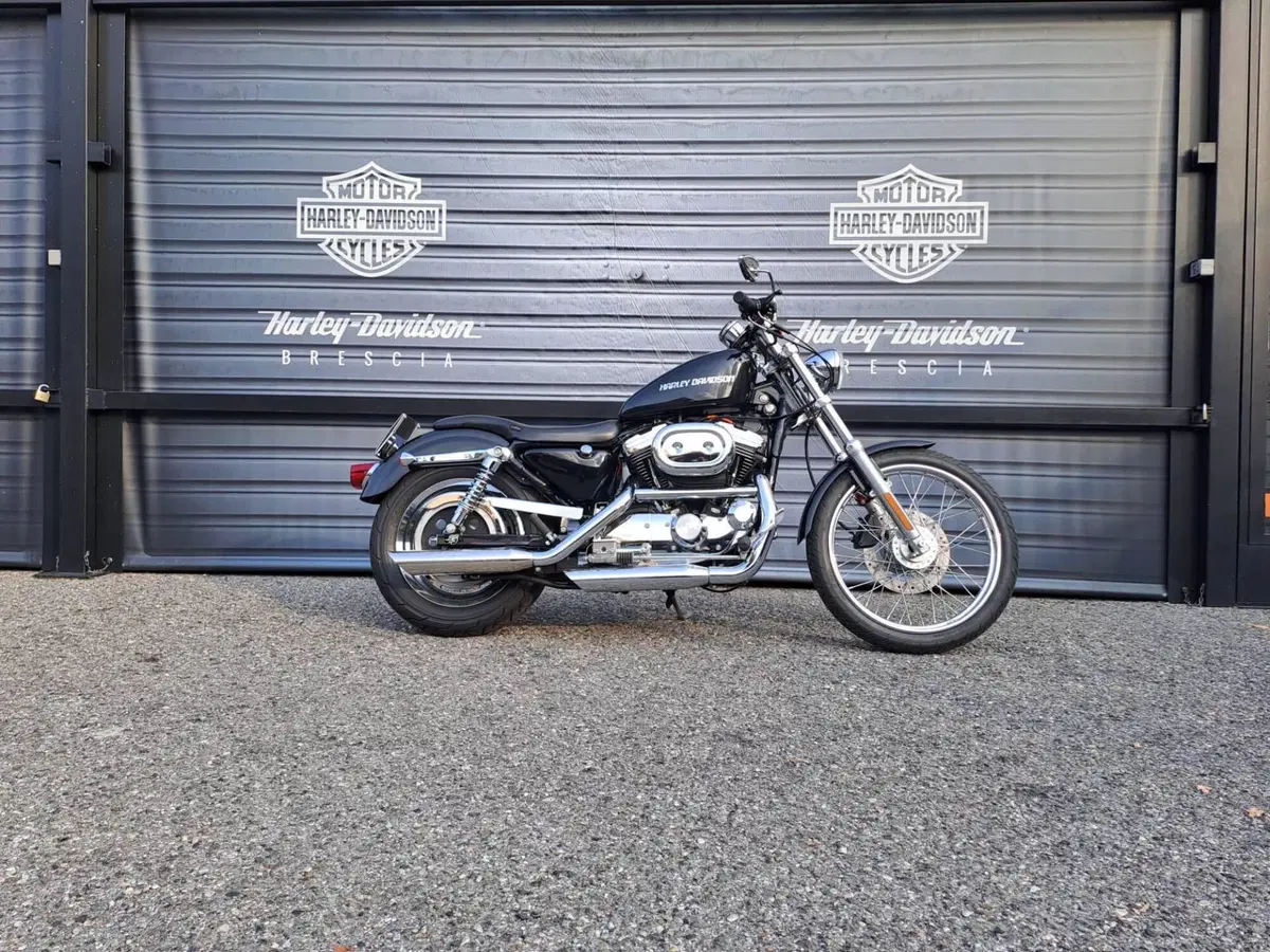 Harley-Davidson 1200 Custom (2001 - 03) - XL 1200C