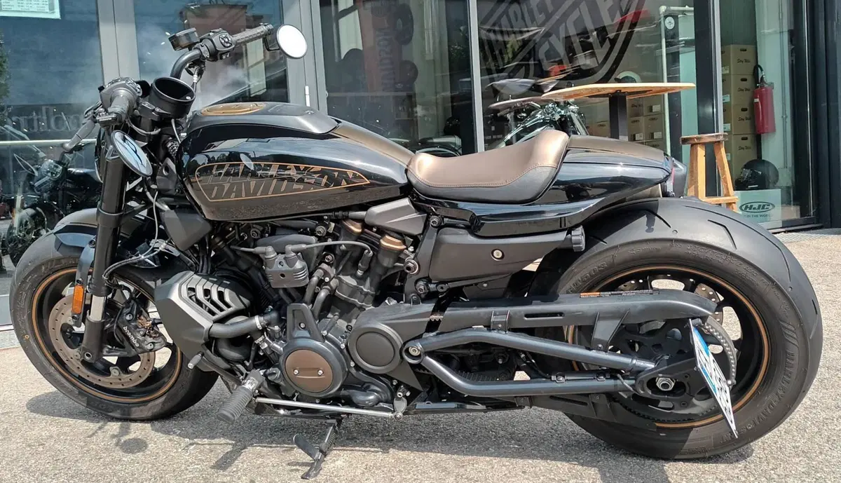 Harley-Davidson Sportster S (2022 - 24) (2)