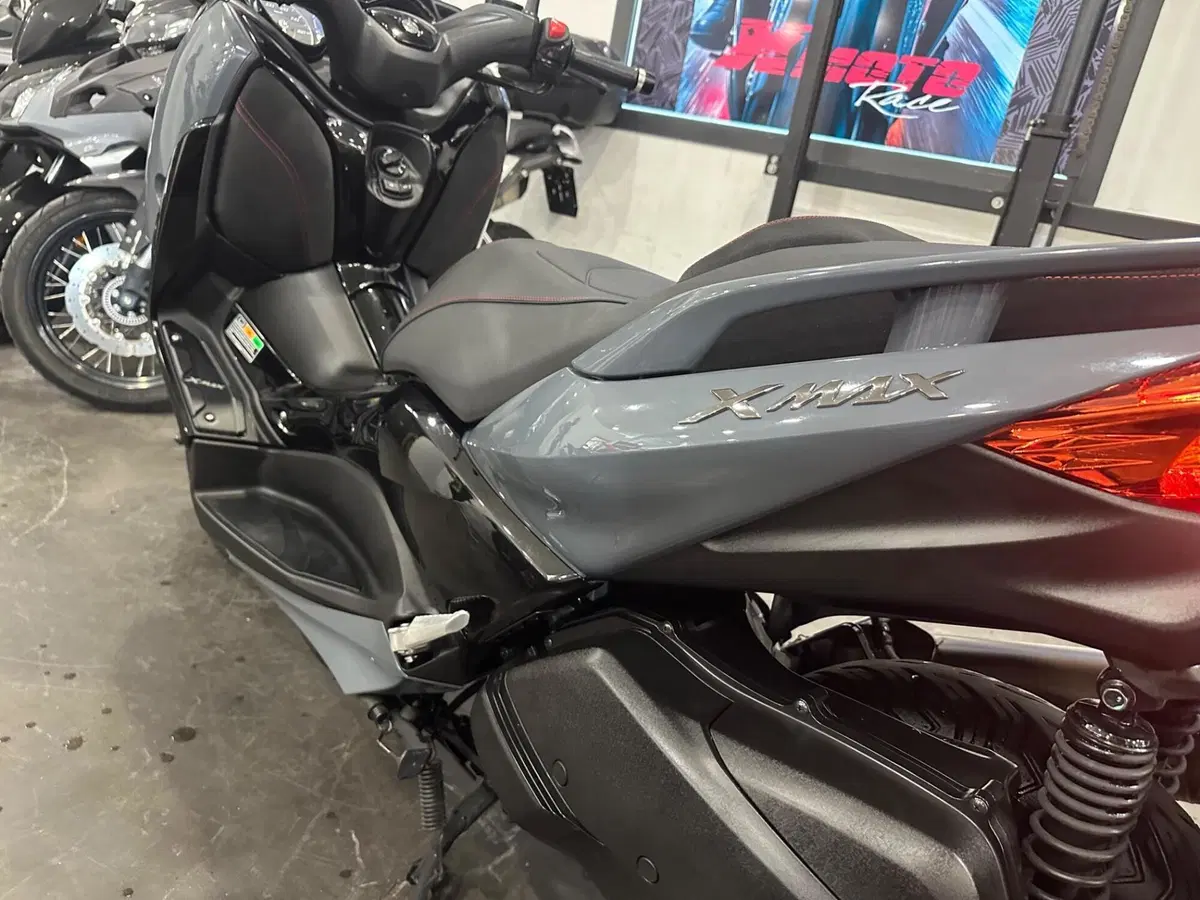 Yamaha X-Max 300 (2021 - 24) (12)