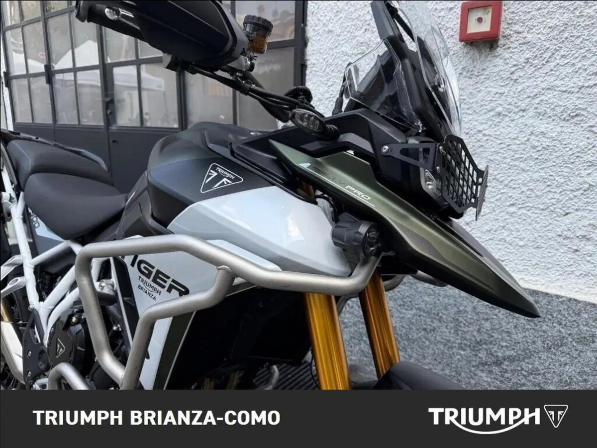 Triumph Tiger 900 Rally Pro (2024 - 26) (5)