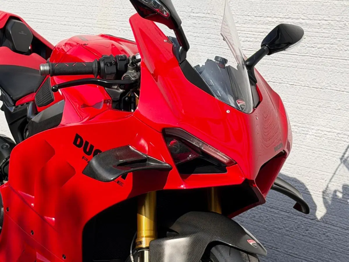 Ducati Panigale V4 S (2022 - 24) (16)
