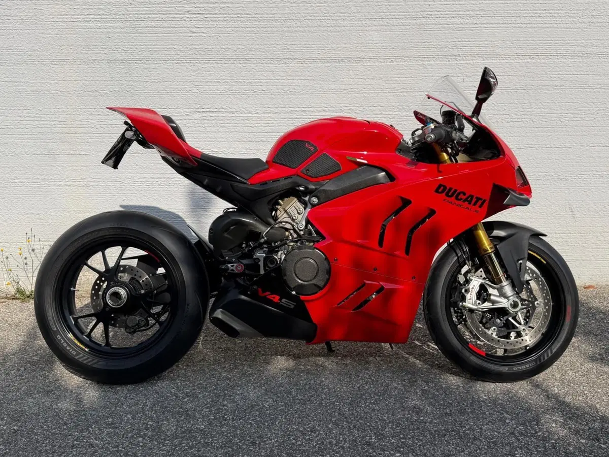 Ducati Panigale V4 S (2022 - 24) (18)