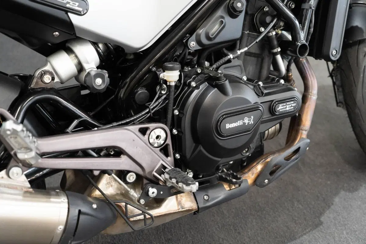 Benelli Leoncino 500 ABS (2017 - 20) (6)