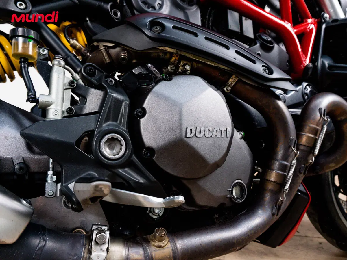 Ducati Monster 1200 (2014 - 16) (4)